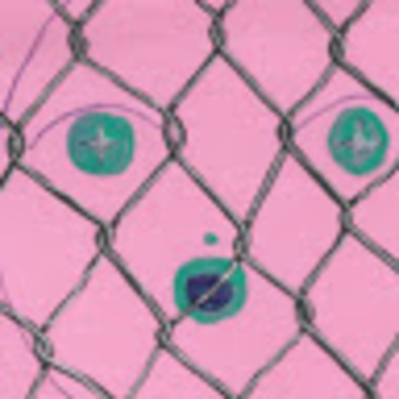 Meet your Posher, Ana - Picture 1 of 1